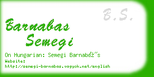 barnabas semegi business card
